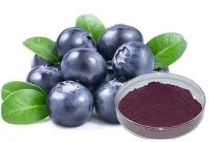 Bilberry Extract